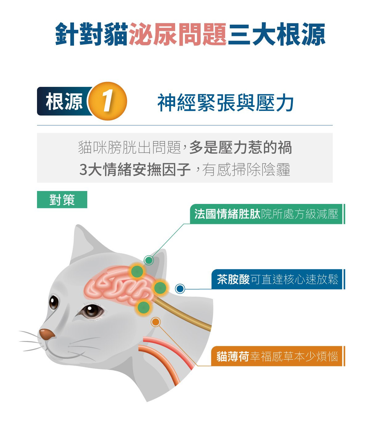 木入森 貓咪好規泌｜貓咪泌尿道保健食品｜粉紅貓薄荷錠_5