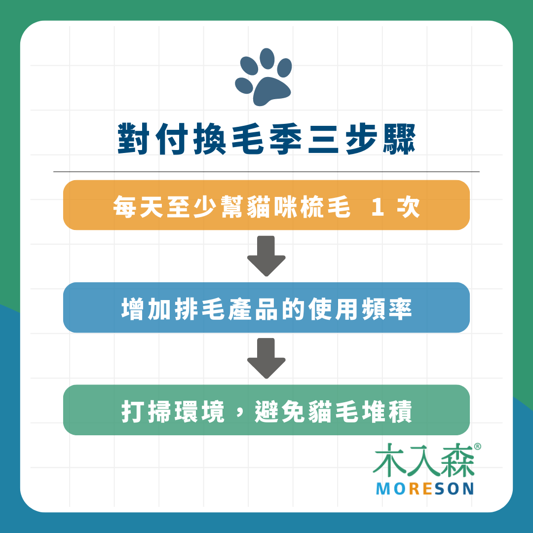 貓咪一摸就掉毛!3 步驟對付貓咪換毛季,預防毛球症 貓咪一摸就掉毛!3 步驟對付貓咪換毛季,預防毛球症