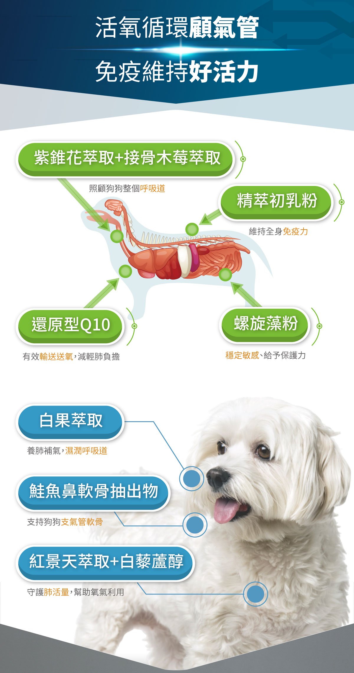 木入森 犬寶氣力升｜狗狗氣管保健食品_11