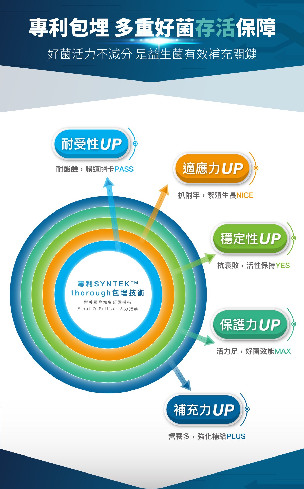 木入森 貓咪活菌寶｜貓咪益生菌_7