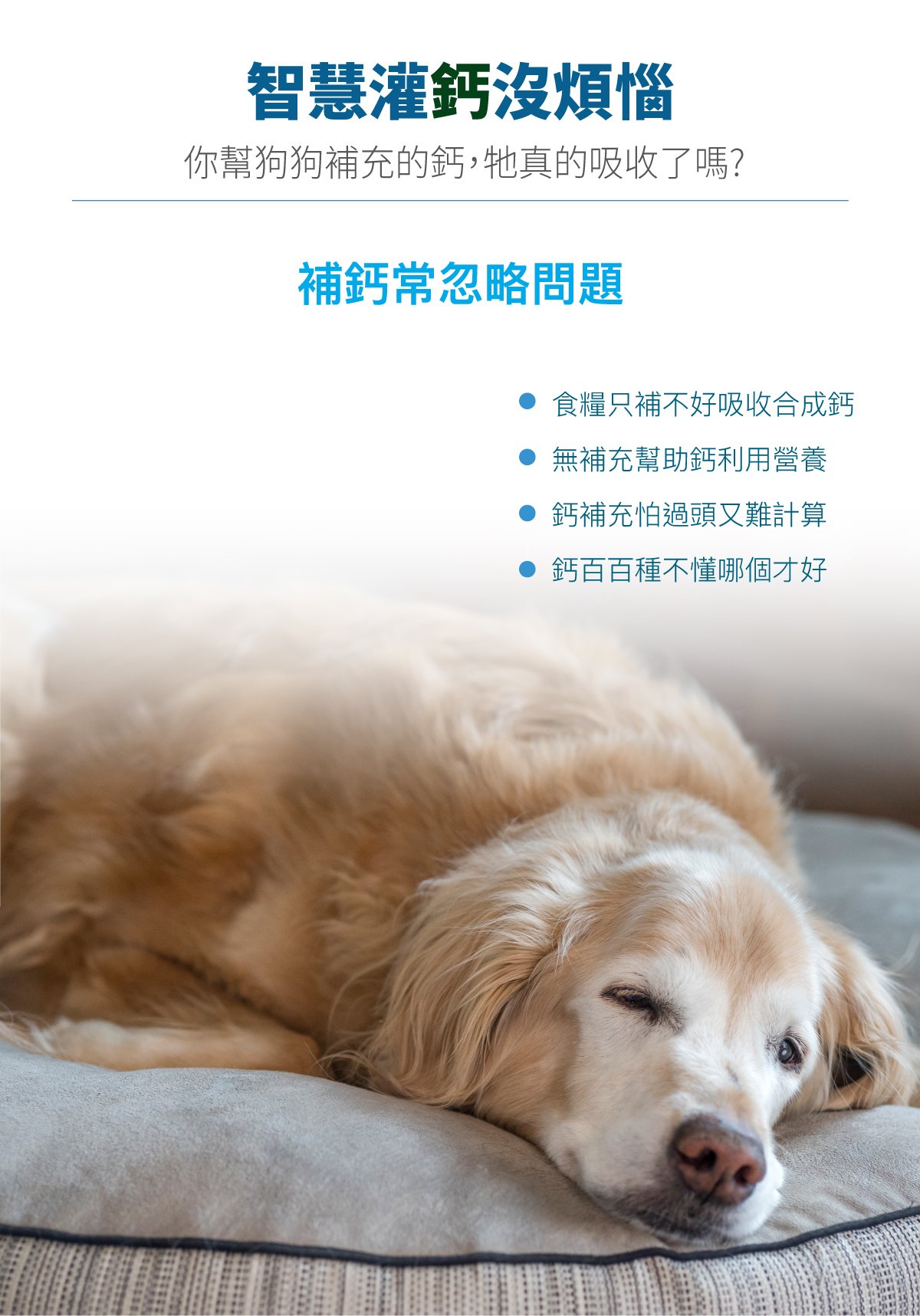 木入森 犬寶D藻鈣｜狗狗補鈣推薦_2