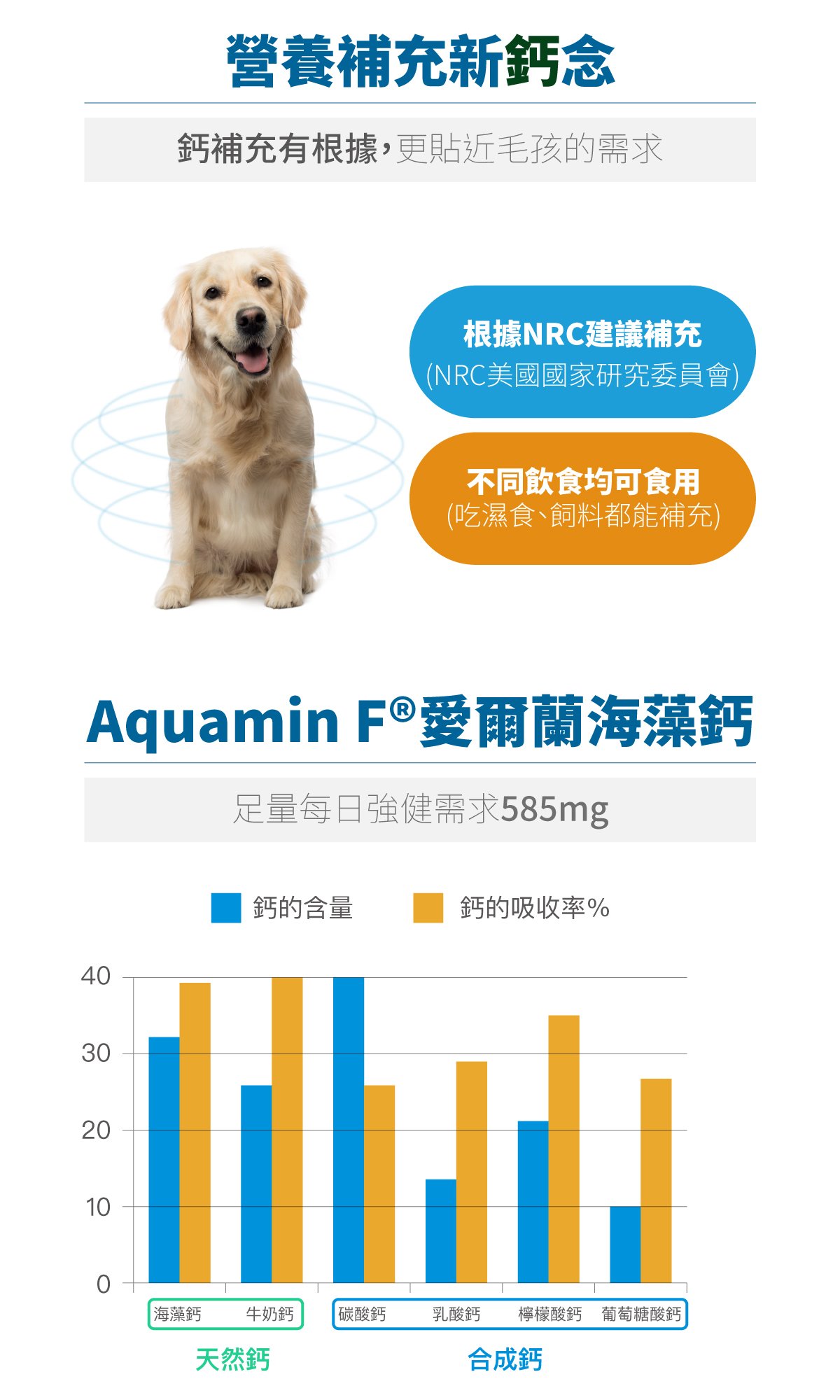 木入森 犬寶D藻鈣｜狗狗補鈣推薦_7