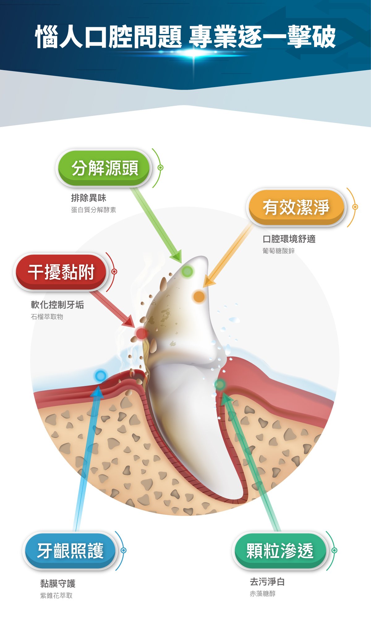 木入森 犬寶固齒麗口滴劑 30ml｜狗狗潔牙滴劑_10
