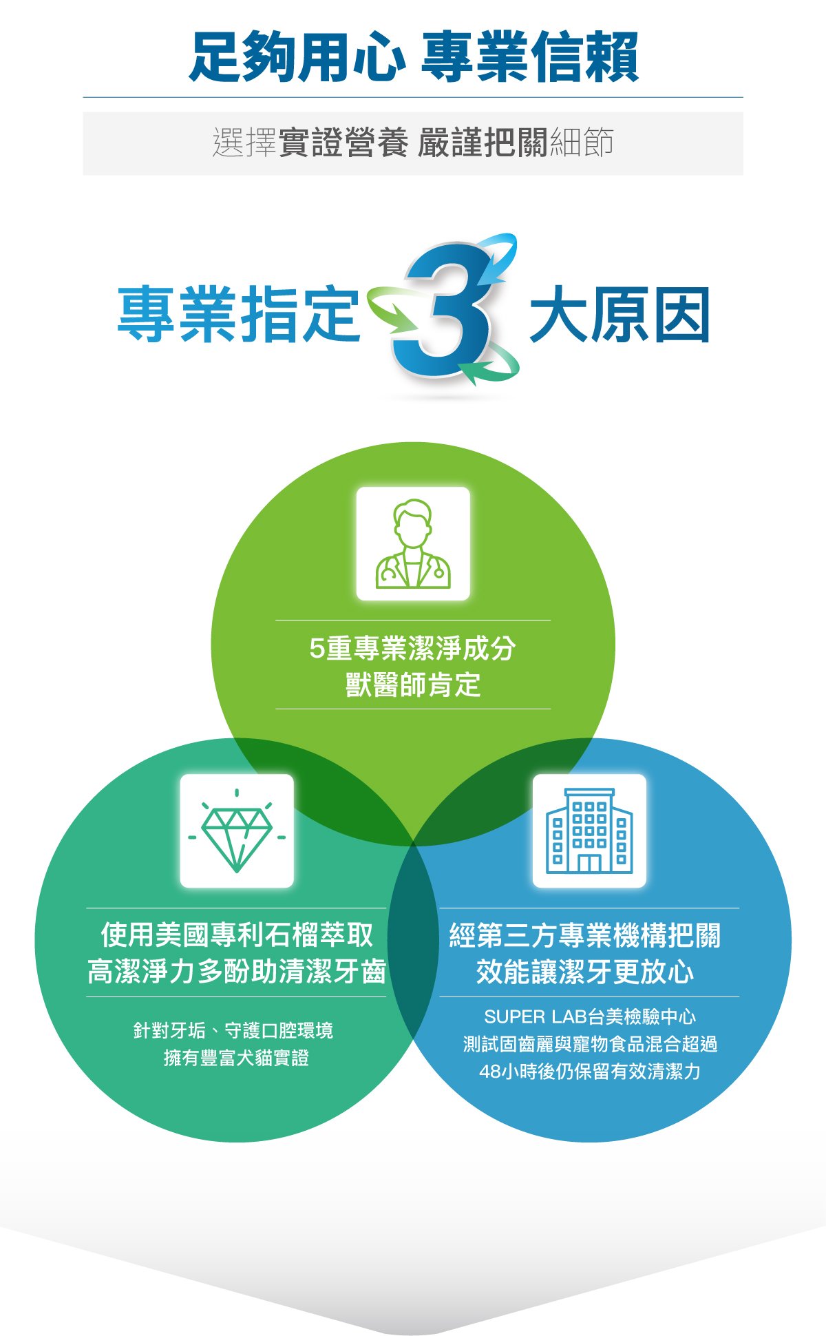 木入森 犬寶固齒麗口滴劑 30ml｜狗狗潔牙滴劑_4