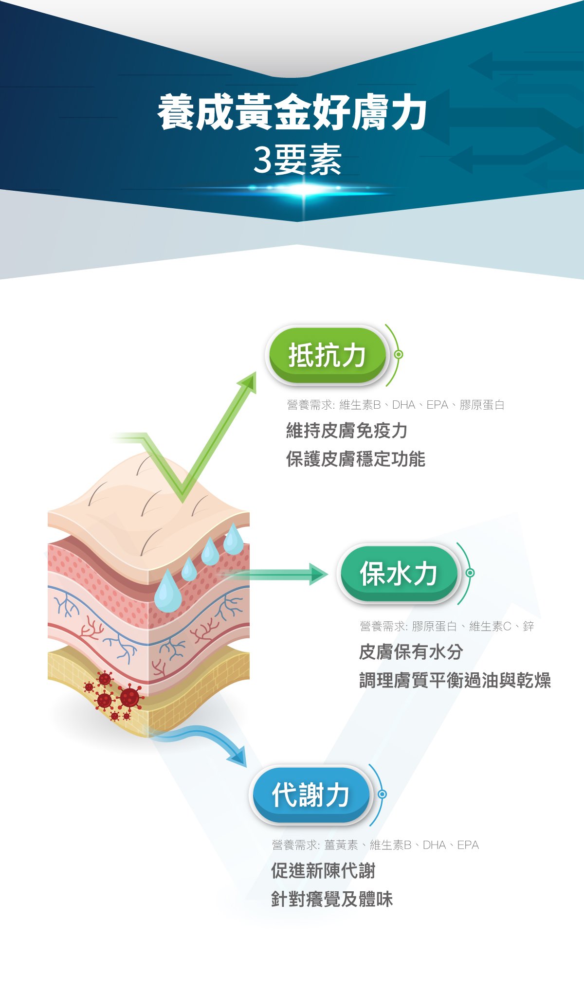木入森 犬寶膚立好｜狗狗皮膚保健食品_8