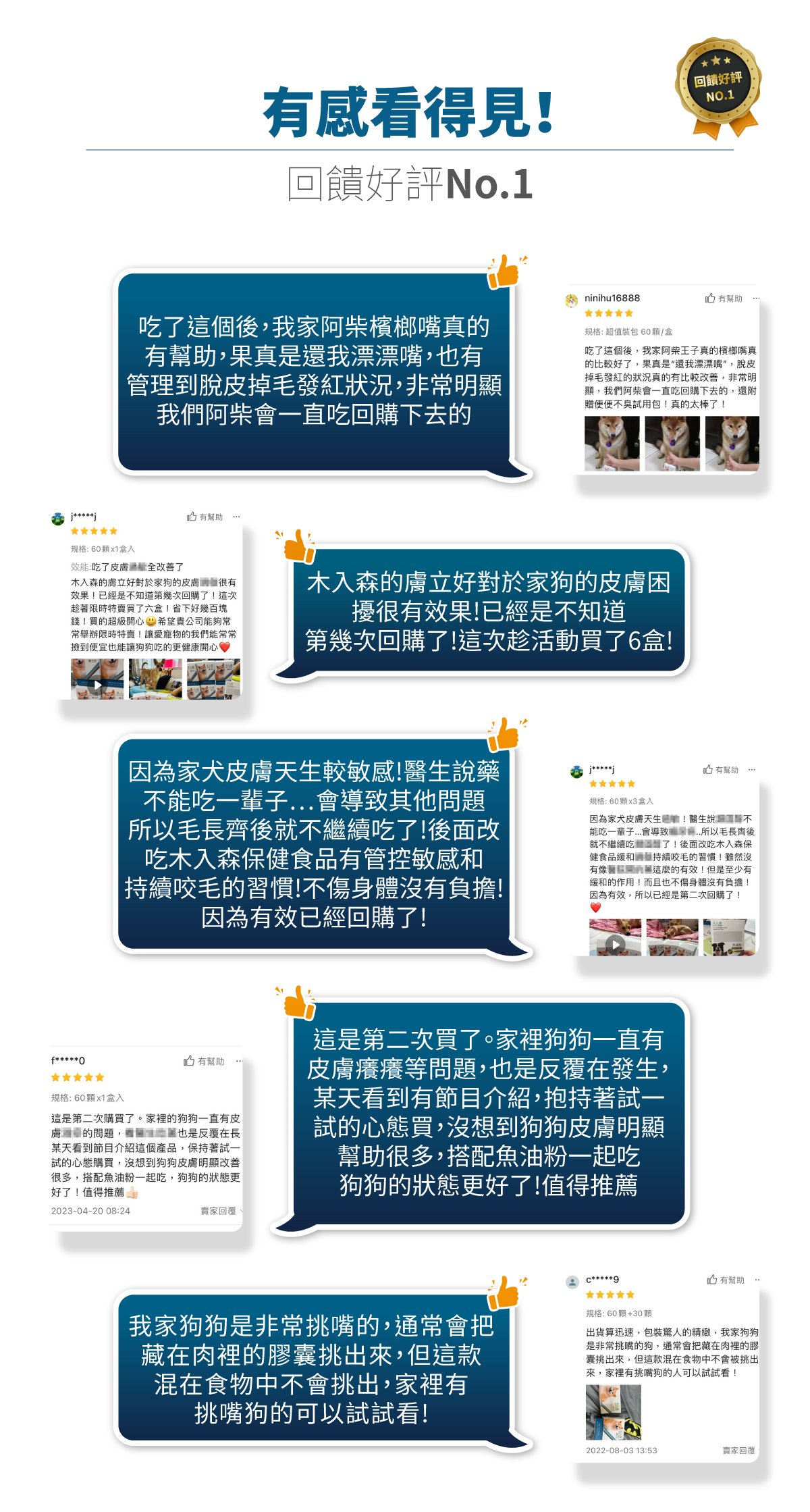 木入森 犬寶膚立好｜狗狗皮膚保健食品_9