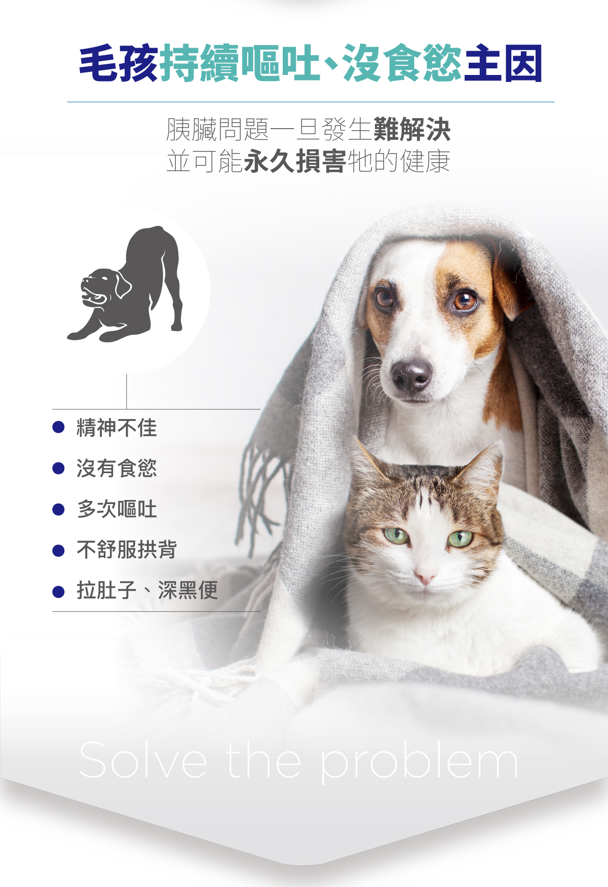 木入森 胰錠酵 胰臟護理酵素錠_3