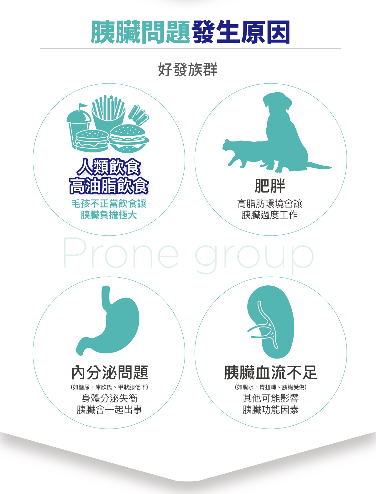 木入森 胰錠酵 胰臟護理酵素錠_4