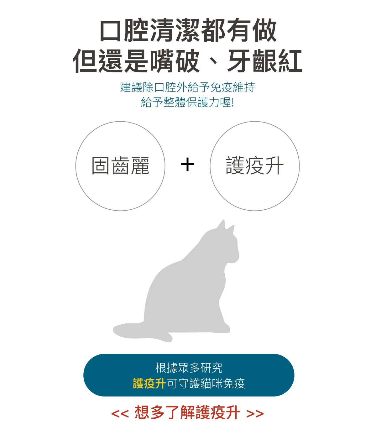木入森 貓咪固齒麗口滴劑｜貓咪潔牙滴劑_13