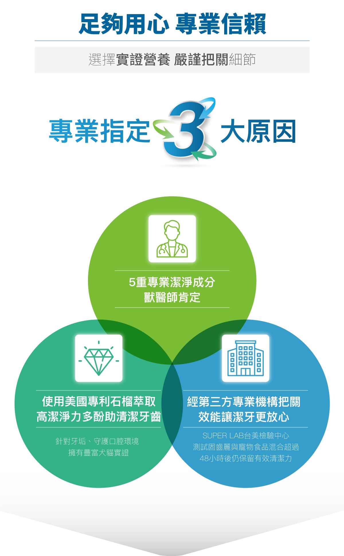 木入森 貓咪固齒麗口滴劑｜貓咪潔牙滴劑_4