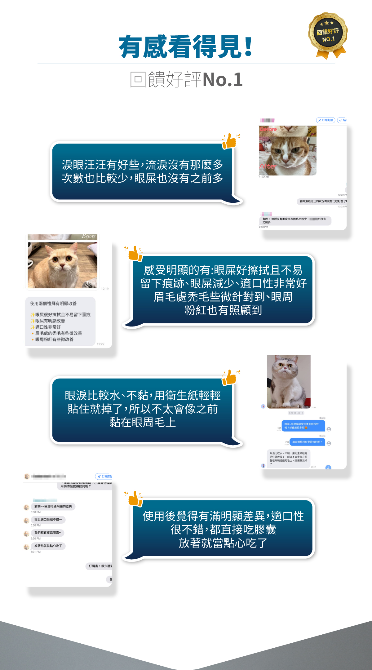 木入森 貓咪痕淨白｜貓咪眼睛保健食品_10