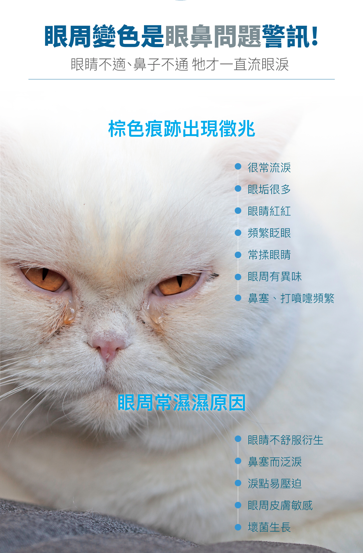 木入森 貓咪痕淨白｜貓咪眼睛保健食品_2