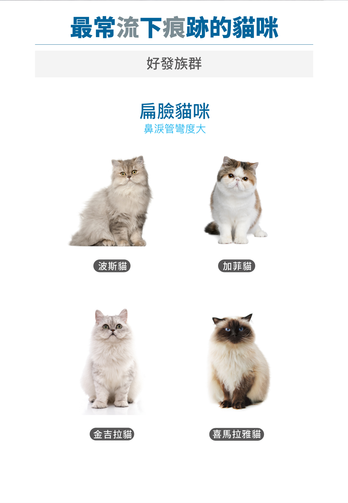 木入森 貓咪痕淨白｜貓咪眼睛保健食品_3