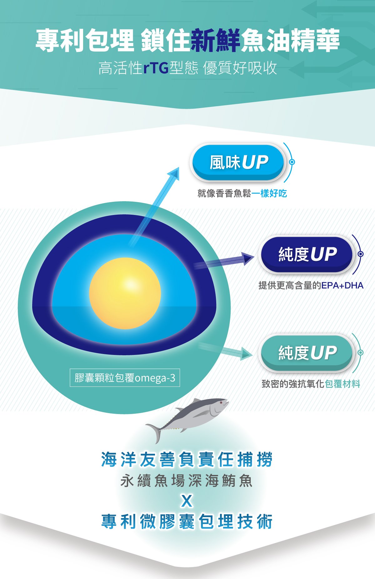 高濃度魚油粉醫級詳情頁_設計_10