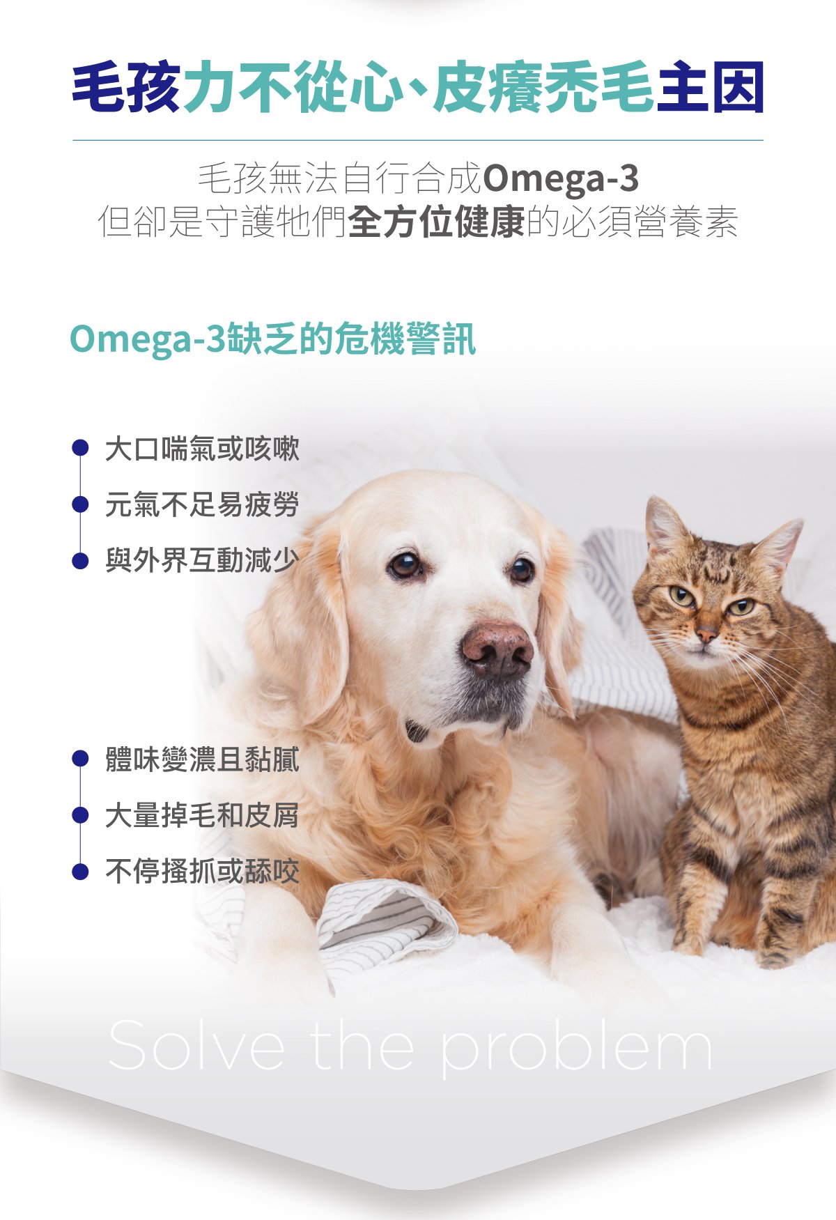 高濃度魚油粉醫級詳情頁_設計_3